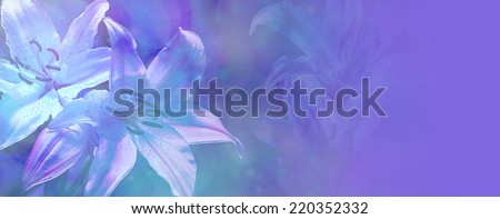 Beautiful Blue Wedding Lilies Banner - Banner with light blue bokeh effect and transparent white lilies