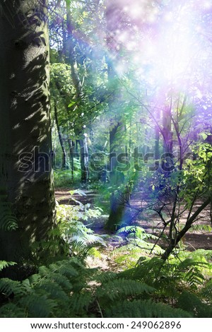 Woodland Nymph - Scene of deep woodland with thick tree trunk on left, vivid light in top right corner with sparkling light streaming downwards depicting supernatural energy