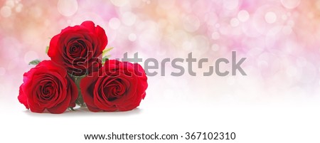 Three Beautiful Red Roses Website Header -  Three red rose heads stacked on left hand side on a misty pink peach colored bokeh background with plenty of copy space on right hand side