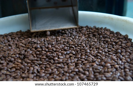 A batch of freshly roasted coffee beans.