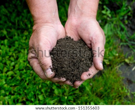 Gardener\'s hands holding dirt