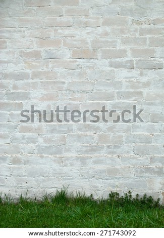 White, Brick Wall, Brick, Paint, Wall, Green, Grass