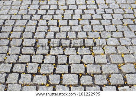 Barcelona cobblestone pavement background with fallen acacia flowers