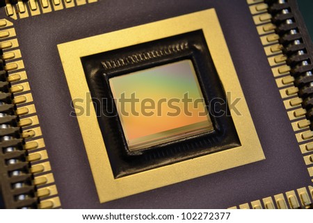CCD camera sensor macro; shallow depth of field