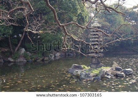 scenic autumnal tree branches over pond waters in Kyoto zen garden