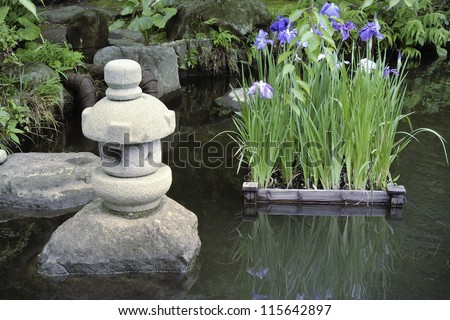 scenic quiet zen pond with water iris flower bed and stone lantern
