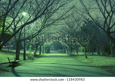 bare trees alley in Japanese park with straight pathway and mystical night illumination