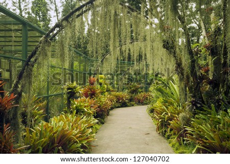 scenic pathway under artificial arches with plantation of orchid ...