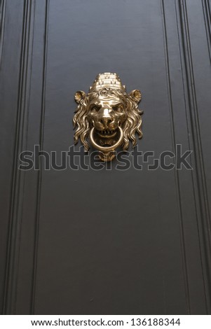metallic door handle in shape of lion head with big knocking ring