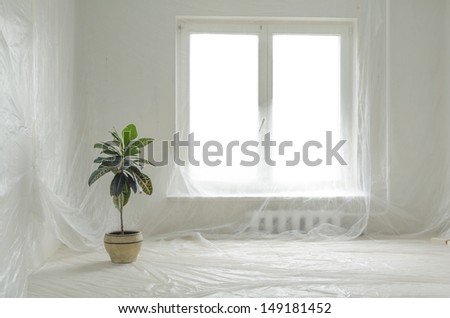 home renovation interior protected by thin plastic film with green plant in big ceramic pot
