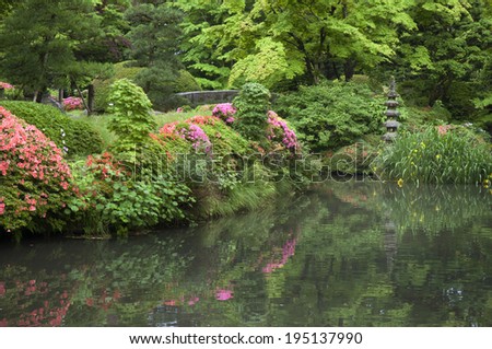 green fresh nature of Japanese zen garden by summer