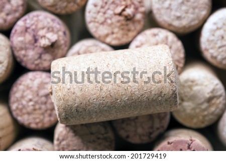 single wine cork laying on the many corks background