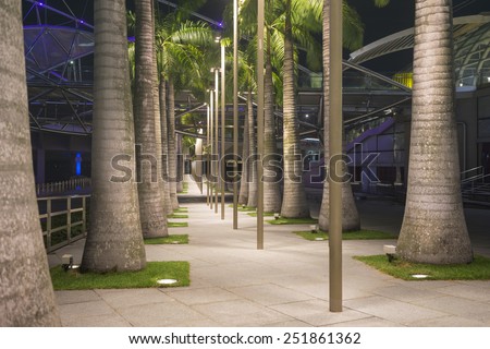 well illuminated palm trees alley in night Singapore