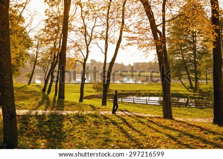 autumn park scenery with human figure and long evening shadows