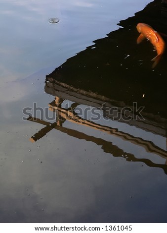 japanese red fish