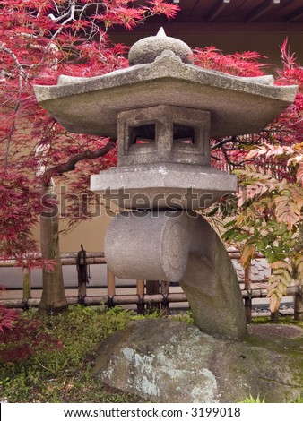 japanese maple tree tattoo. japanese maple tree garden.