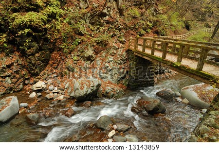 clear mountain river under wooden bridge in autumnal japanese forest, Tochigi prefecture, Japan