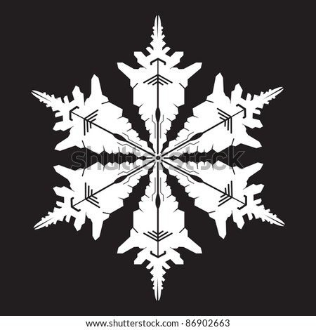 Snowflake Silhouette Stock Vector Illustration 86902663 : Shutterstock