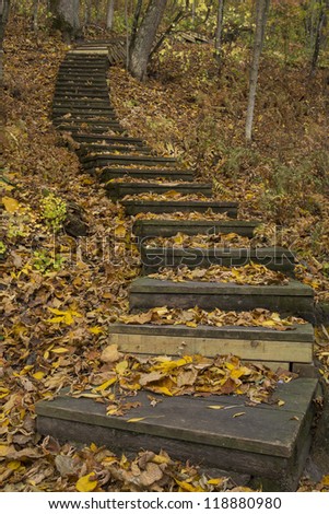 A wooden step trail up a hill in the woods during autumn.