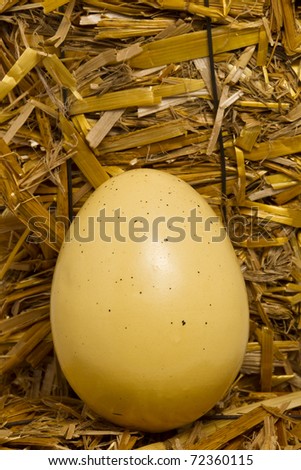 Easter egg on mini hay bale.