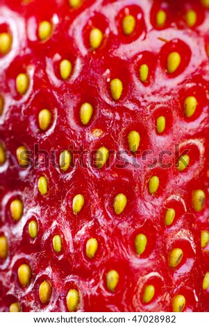 The texture of strawberries. Close-up. Macro.