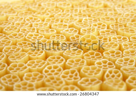 Italian pasta - meal for vegetarians on a white background