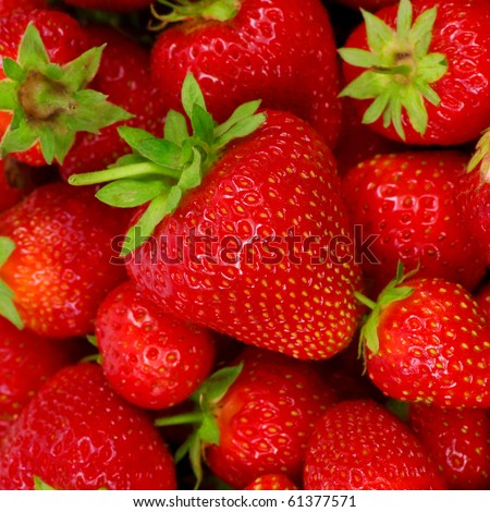 Fresh ripe perfect strawberry -  Food Frame Background