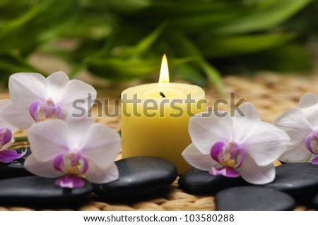 Set of white orchid with stones and candle on green plant background