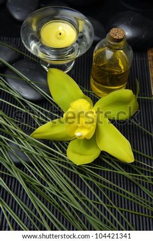 Green orchid with massage oil and candle on plant leaf texture