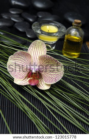 Single orchid with massage oil and candle with plant leaf on pebbles