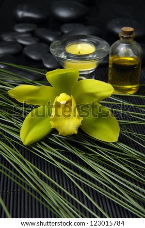 Green orchid with massage oil and candle with plant leaf on pebbles