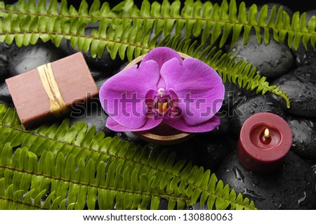 Set of red orchid with soap ,candle green fern on pebbles
