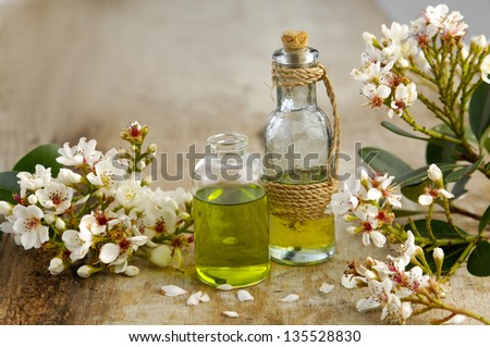 bunch of spring flower, massage oil on board