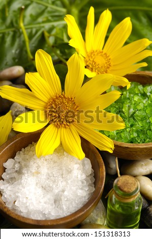 spa supplies with sunflower . salt in bowl on leaf