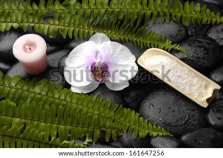 white orchid and green fern with candle ,salt in bowl on wet pebbles
