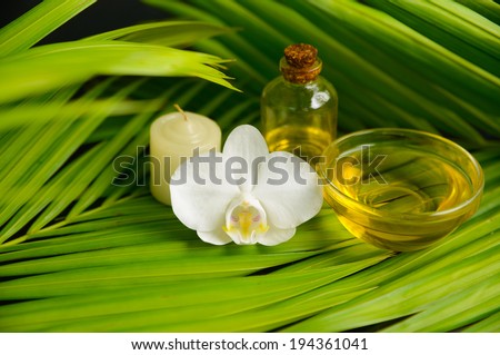 Green palm leaf background- spa sitting