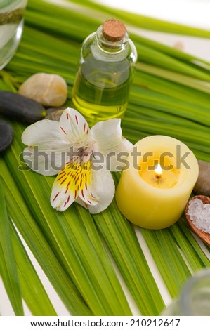 Green palm leaf background- spa setting