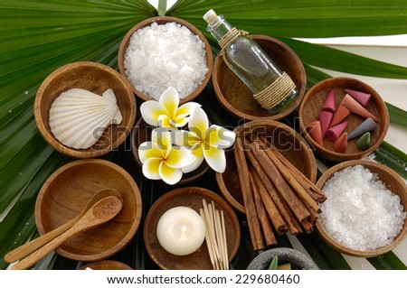 Wooden bowl of flower with cinnamon ,shell , oil, spoon ,salt on green palm
