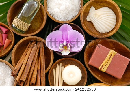 Wooden bowl of flower with cinnamon ,shell , oil, spoon ,soap on green palm