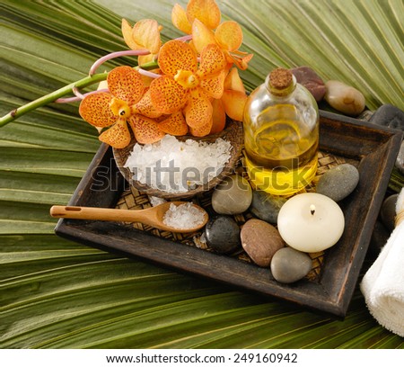 Green palm leaf background- spa set