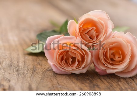 Three orange rose on brown wooden