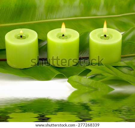 Still life with green candle and set of green banana leaf