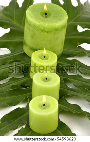 row of green candles on green lamina