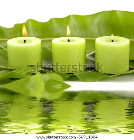Row of green candle with big leaf reflection