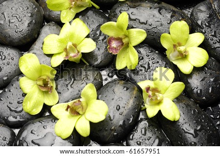 Set of orchid and zen stones with water drop