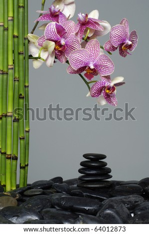 Spa still life with bamboo stem and orchid flowers on pebble stones stack in balance