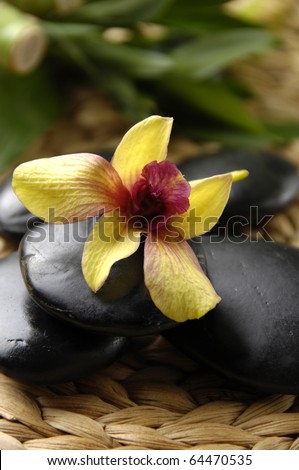 Yellow orchid and zen stones and bamboo on woven bamboo pieces background