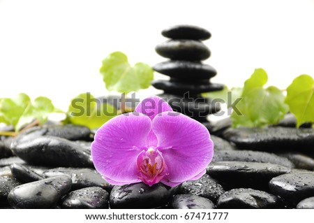 Stack stones in balance with green ivy and orchid on pebble