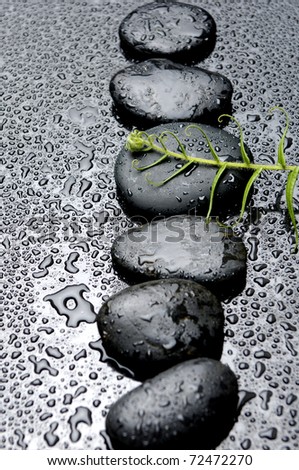 Row of zen stones and green leaves with water drops