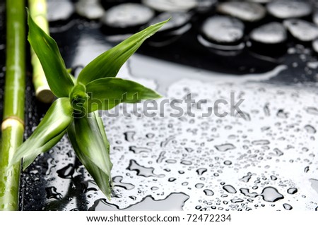 Spa stones and green bamboo leaves with drops of water